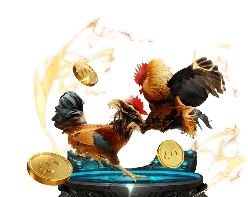 Hoàn trả casino than quay 247